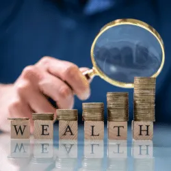 ⁠Wealth Growth Consultation